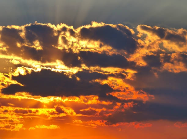 istock beautiful golden sunset sky landscape 1168353946
