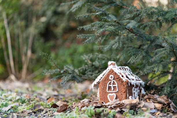 Decorated small homemade Gingerbread House surrounded with frozen lives, grass and roots in forest.