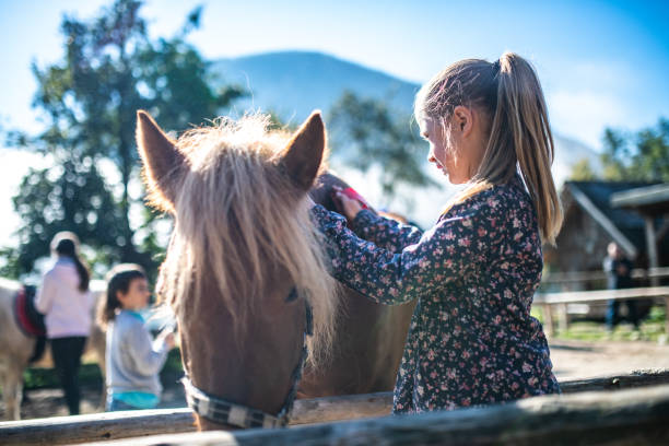 istock Girl brushing horse 1168358782