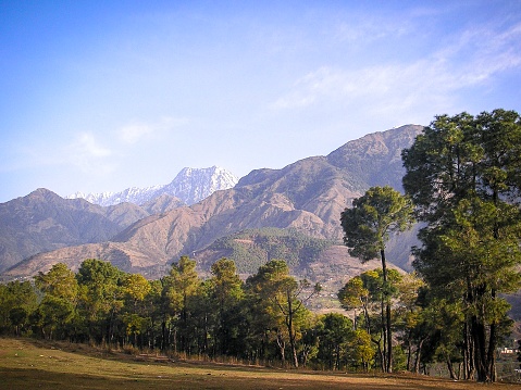 A beautiful landscape view of the Dauladhar ranges near Dharamsala in the Himalayan foothills, district Kangra, Himachal Pradesh state, in north India, with green trees in the foreground and snow capped mountains against a blue sky with wispy clouds.