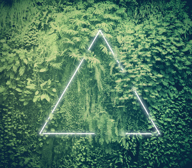 istock Neon light triangle frame glowing behind tropical green foliage. 1168364088