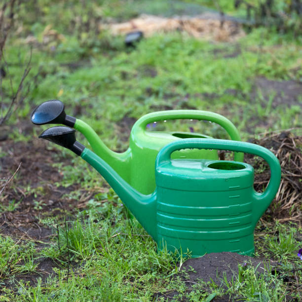 istock two green watering cans on soil of garden 1168364182