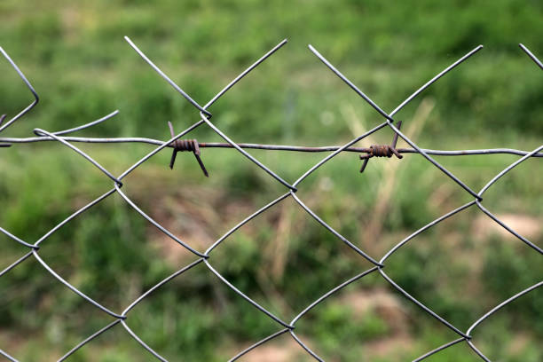 Barbed wires with grassy background