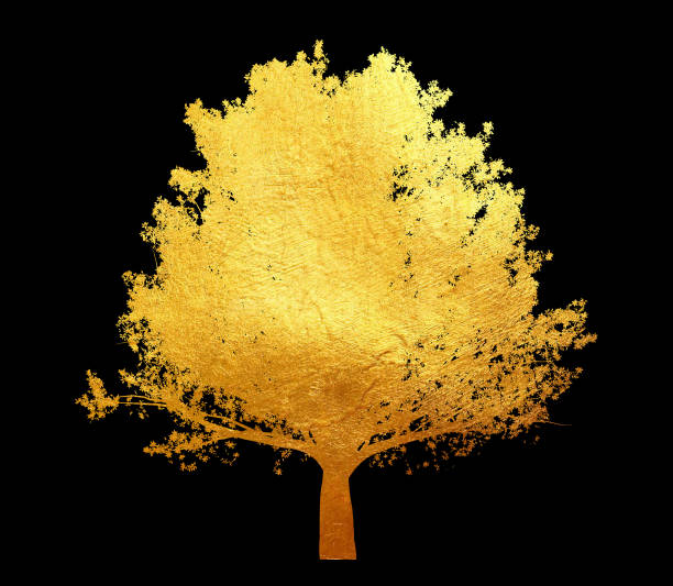 istock Golden tree with leaves isolated on black background. 1168368890