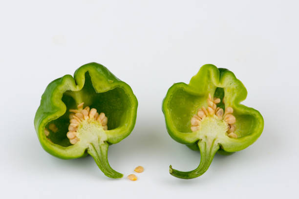istock Cut-up fresh green Scotch bonnet peppers on white background 1168369562