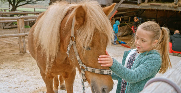 istock Girl touching horse 1168371235