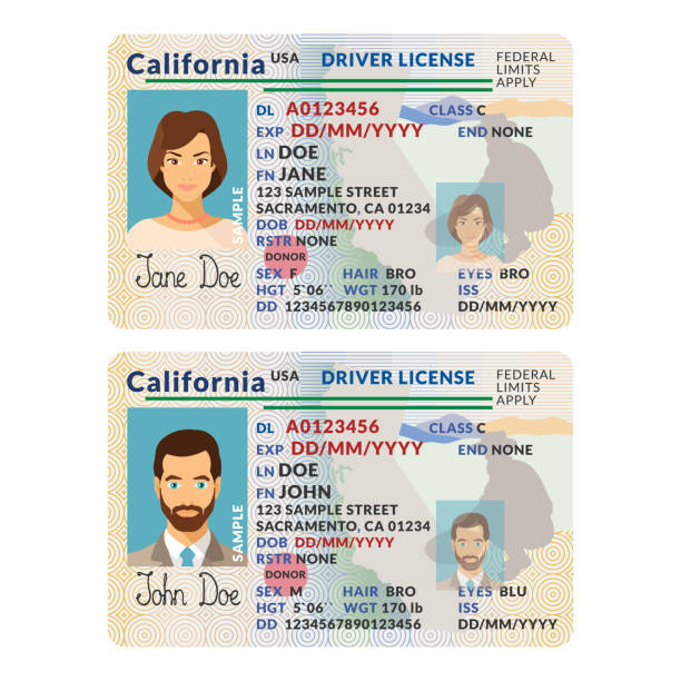 Vector template of sample driver license plastic card for USA California Vector template of sample driver license plastic card for USA California driver's license stock illustrations