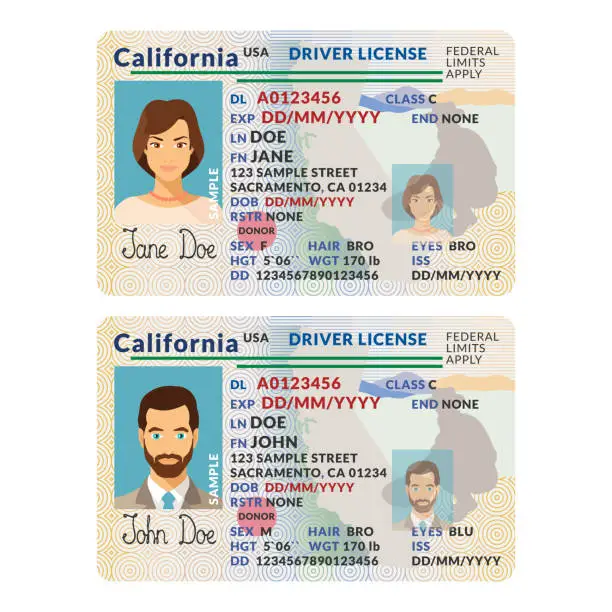 Vector illustration of Vector template of sample driver license plastic card for USA California