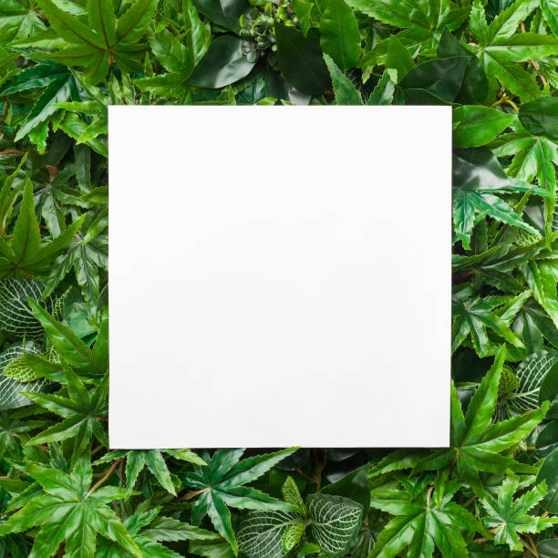 istock Creative layout made of evergreen leaves with paper card note 1168371689