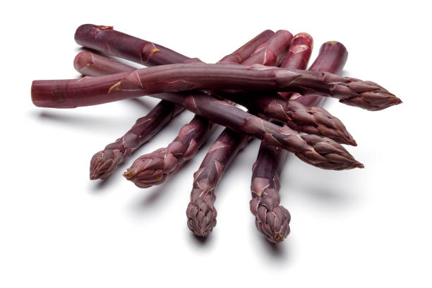 istock Bunch of purple asparagus isolated on white 1168372414