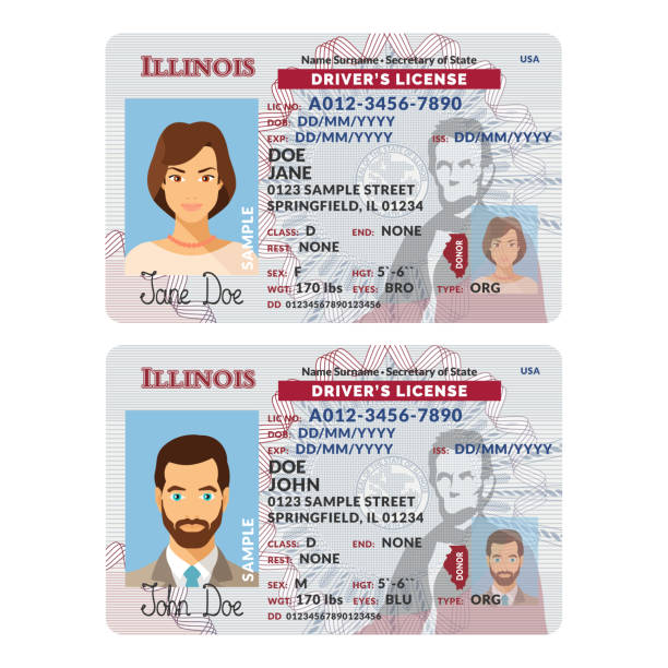 Vector template of sample driver license plastic card for USA Illinois Vector template of sample driver license plastic card for USA Illinois drivers license stock illustrations