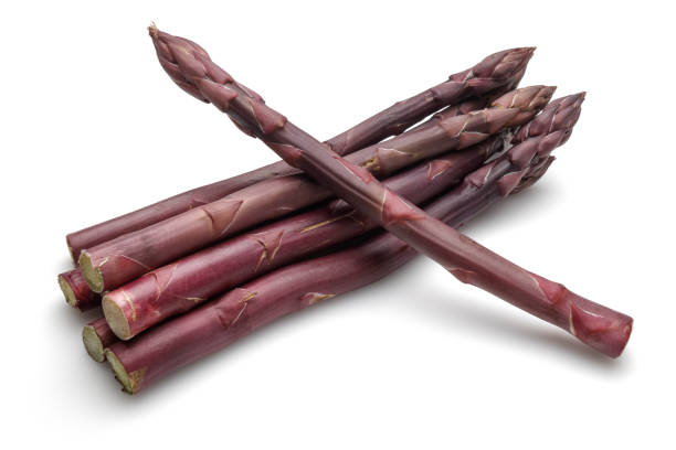 istock Bunch of purple asparagus isolated on white 1168372617