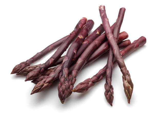 istock Bunch of purple asparagus isolated on white 1168373042