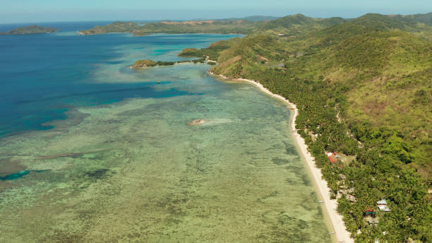 istock tropical island with blue lagoon 1168376905