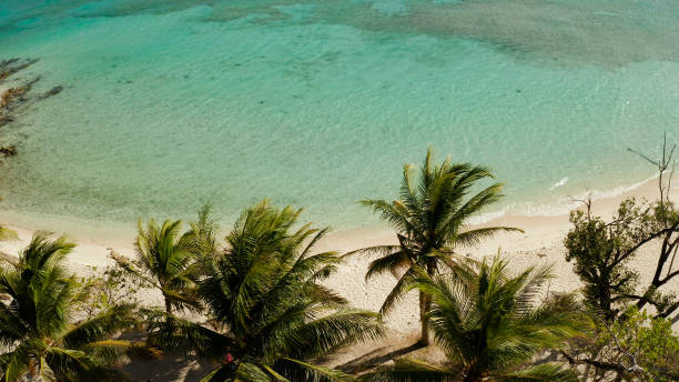 istock torpical island with white sandy beach, top view 1168379687