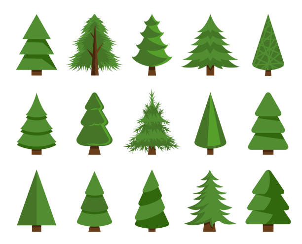 illustrazioni stock, clip art, cartoni animati e icone di tendenza di illustrazione di repertorio del set vettoriale degli alberi di natale - pine