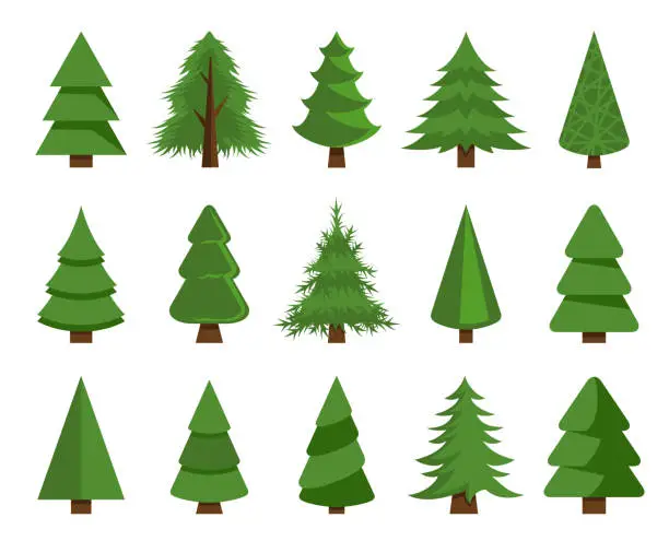 Vector illustration of Christmas trees vector set stock illustration