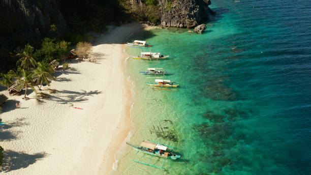istock Seascape with tropical beach and sea 1168385233