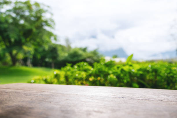 a vintage wooden table with blur green nature background