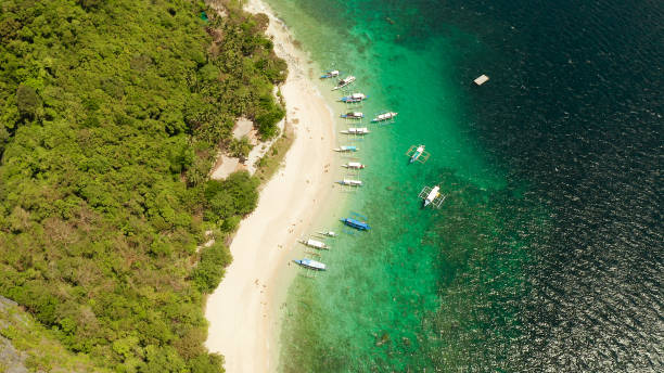 istock Tropical island with sandy beach. El nido, Philippines 1168386350