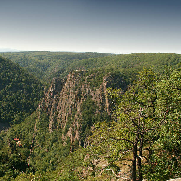 istock Bode gorge and Rosstrappe in the Harz Mountains 116838876