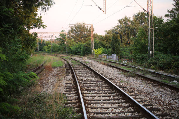 istock Railway track through woodland . 1168389233
