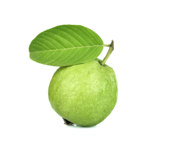 frutto di guava fresco isolato su sfondo bianco - 1750 foto e immagini stock