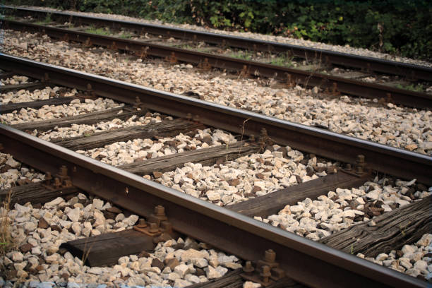 istock Railway track through woodland . 1168389618