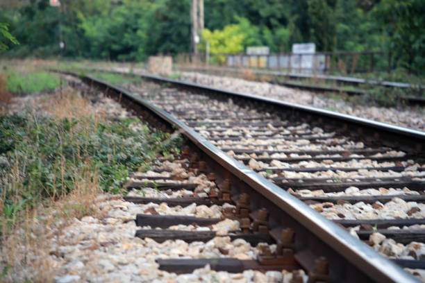 istock Railway track through woodland . 1168390893