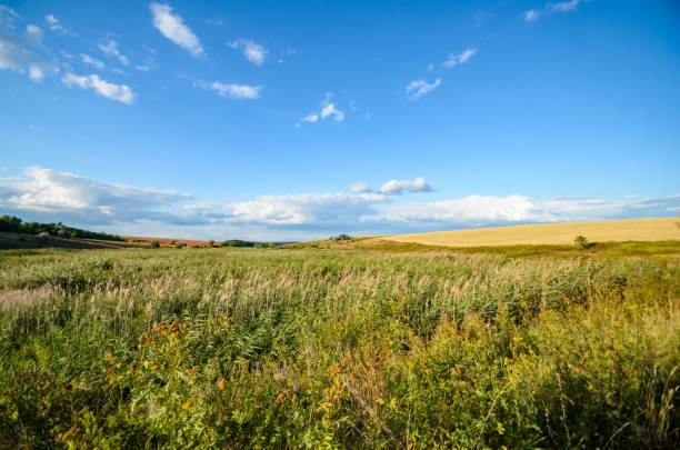 istock Large clouds on the horizon with a field 1168397631