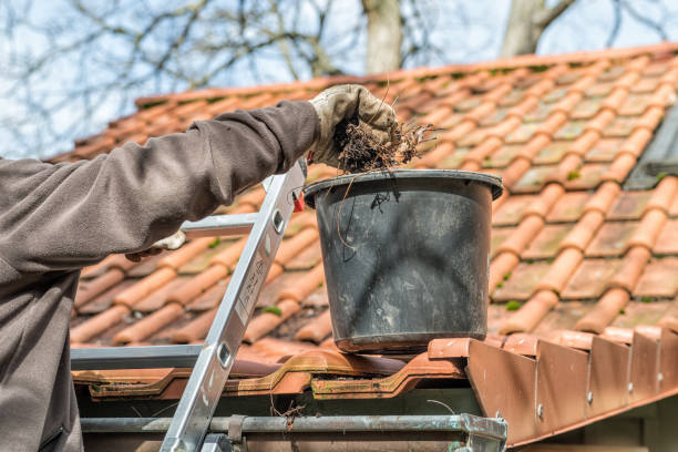 istock Man on a ladder cleaning house gutters 1168398084