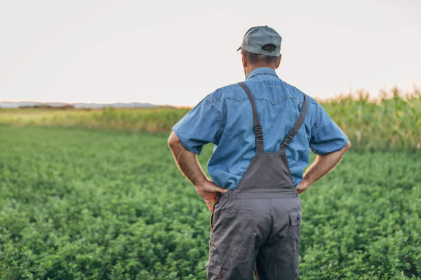 istock A farmer in a agricultural field 1168402436