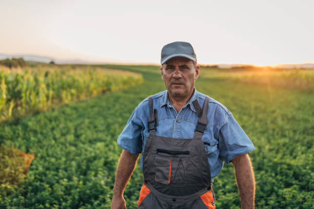 istock A farmer in a agricultural field 1168402440