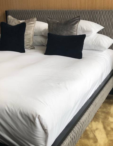istock Velvet cushions on a freshly made bed 1168403342