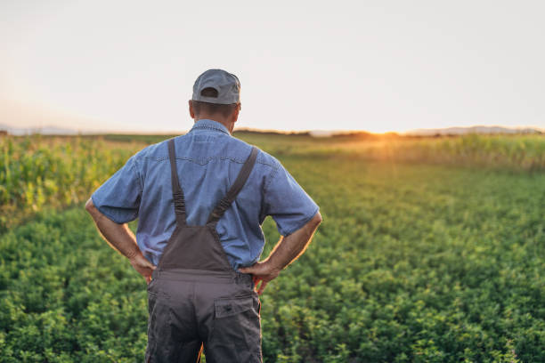 istock A farmer in a agricultural field 1168403367