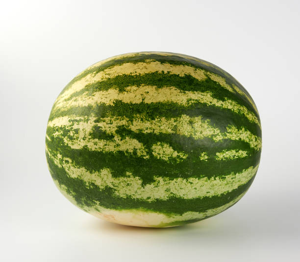 istock big green striped whole watermelon on a white background 1168404309