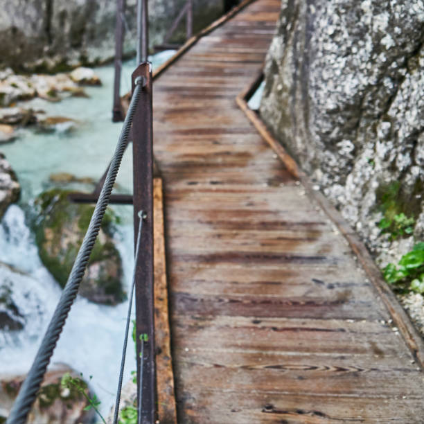 narrow wobbly path over the hã¶llentalklamm gorge near garmisch-partenkirchen, selective focus on the steel cable, background deliberately blurred - ravine geology danger footpath imagens e fotografias de stock