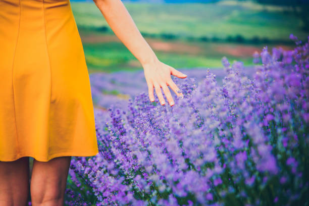 istock Woman Touching the lavender 1168406078
