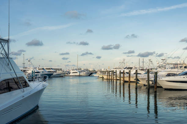 yachts amarrés à la marina keywest. miami, floride - yacht florida yachting nautical vessel photos et images de collection