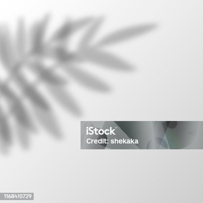 istock Shadow overlay effects transparent vector 1168410729