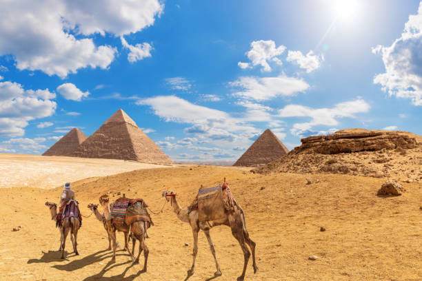istock The Pyramids and camels with a bedouin in Giza desert, Egypt 1168410949