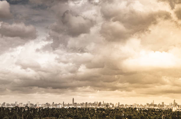 istock City. Architectural modern buildings in panoramic view on background .Tree nature area .the nature and modern city life 1168417048