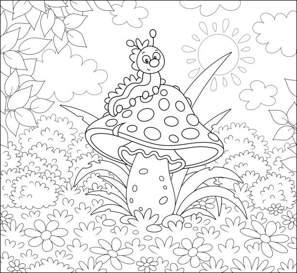 애벌레와 비행 아가릭 - 알광대버섯 stock illustrations