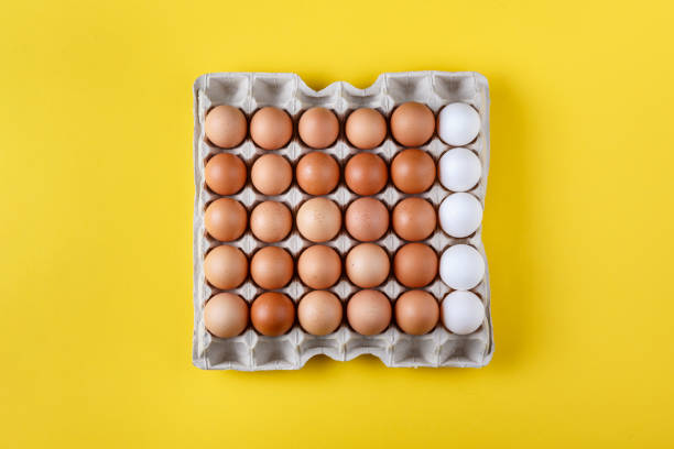 istock farm chicken eggs in a cardboard tray on a bright background 1168429926
