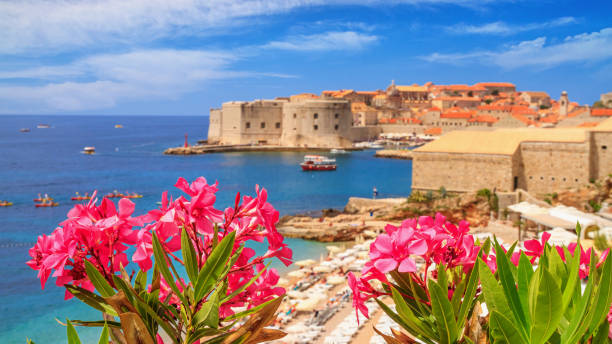 paisagem litoral do verão-vista do oleander de florescência e da cidade velha de dubrovnik - town of blossom - fotografias e filmes do acervo