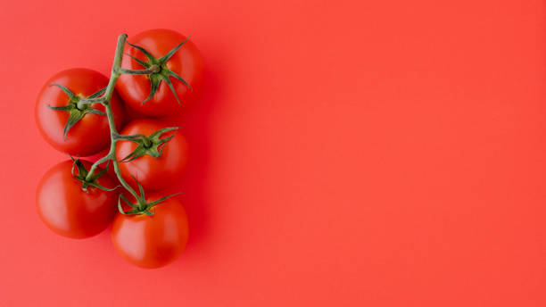 istock Red Tomatoes Close Up. Fresh Organic Tomatoes on Red Background, Directly from Above with Copy Space. Group of Objects, Healthy Eating, Healthy Lifestyle, Product 1168435582