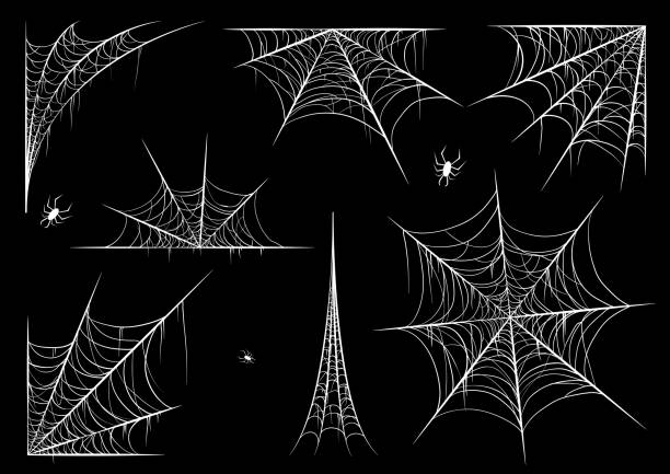 Spiderweb set, isolated on black transparent background. Cobweb for halloween, spooky, scary, horror decor with spiders. Spiderweb set, isolated on black transparent background. Cobweb for halloween, spooky, scary, horror decor with spiders. spider web stock illustrations