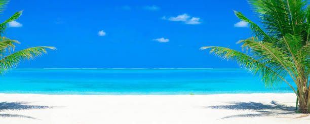 istock tropical beach in Maldives. sea landscape 1168437962