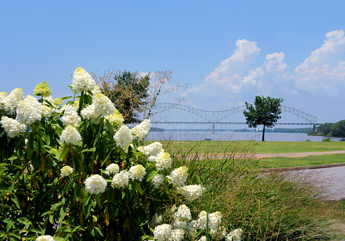 The Hernando de Soto Bridge can be seen from Tom Lee Park riverfront park.  Bridge connects West Memphis, Arkansas and Memphis, Tennessee by spanning the Mississippi River.