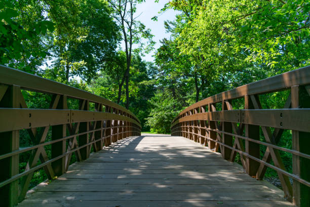 istock Simple Bridge over the DuPage River along the Naperville Riverwalk in Naperville during Summer 1168439059
